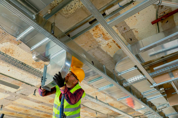 Best HVAC Air Duct Cleaning  in Lake City, MN