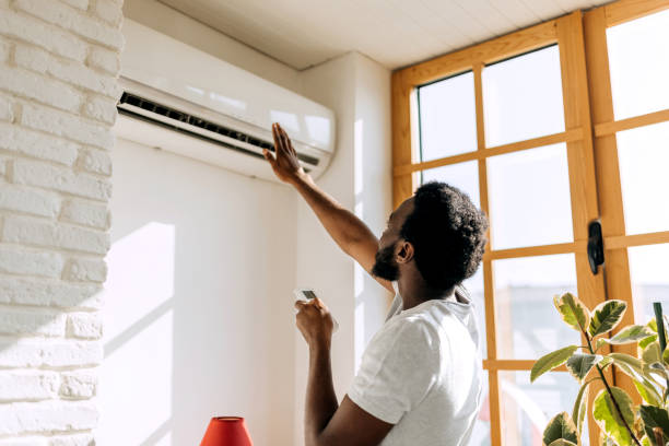 Best Air Conditioning Repair  in Lake City, MN